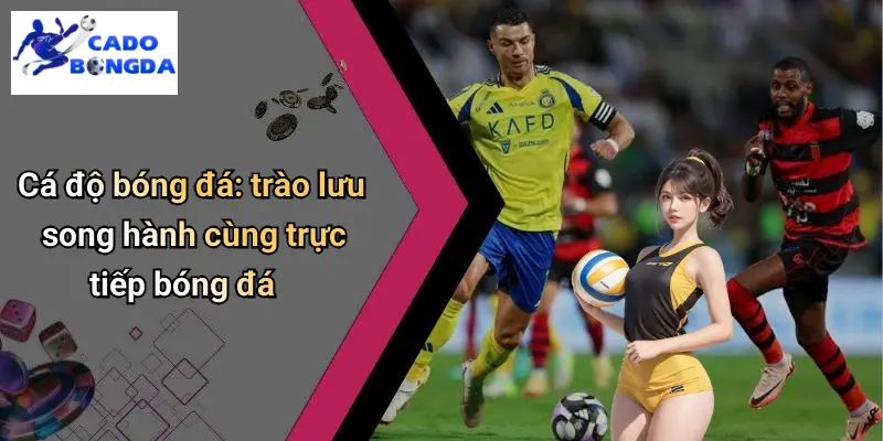 trực tiếp bóng đá