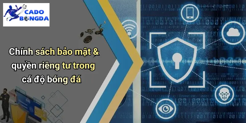 Điều Khoản Điều Kiện