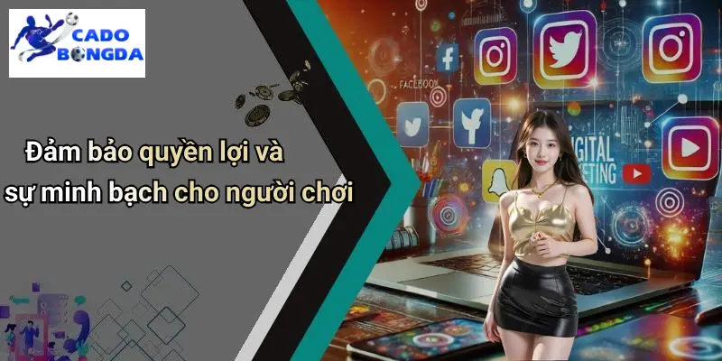 Liên Hệ
