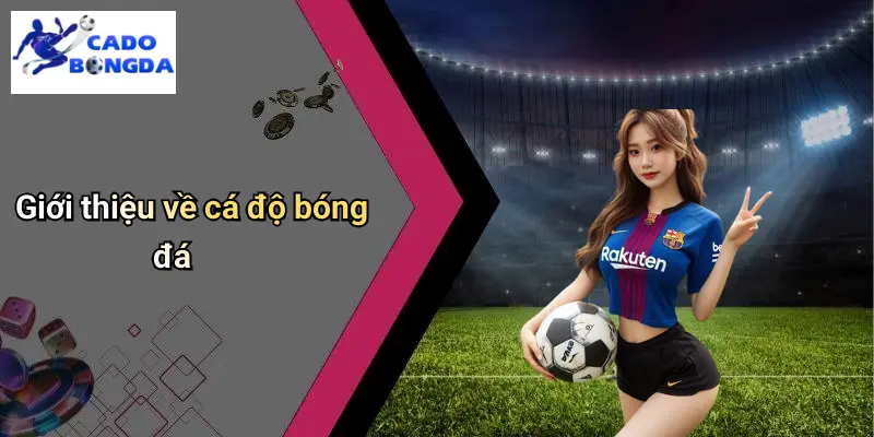 Giới Thiệu