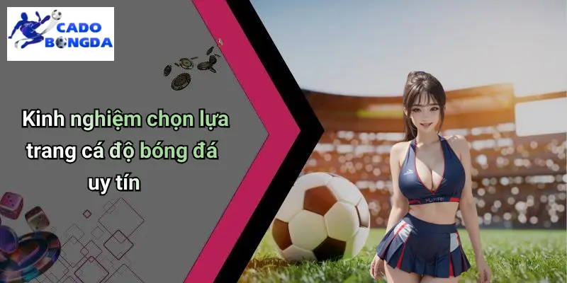 Cá Độ Bóng Đá