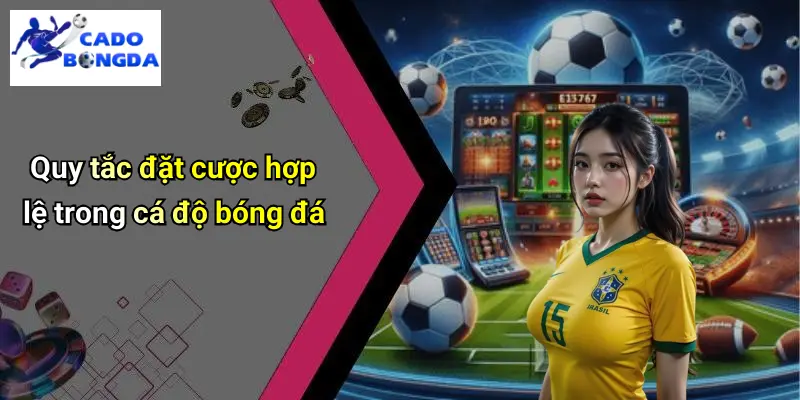 Điều Khoản Điều Kiện