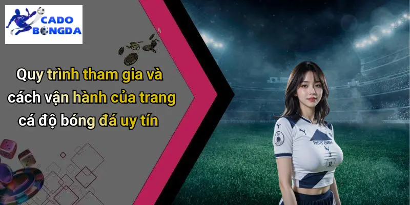 Cá Độ Bóng Đá