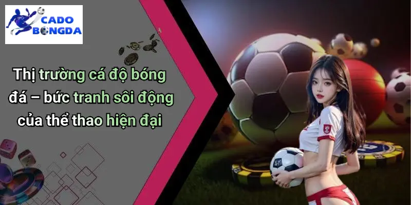 Cá Độ Bóng Đá