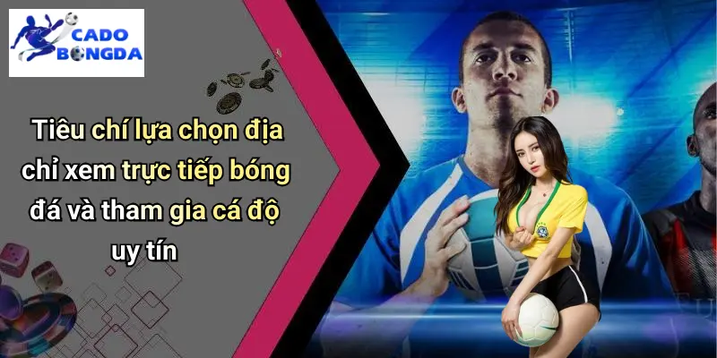 trực tiếp bóng đá