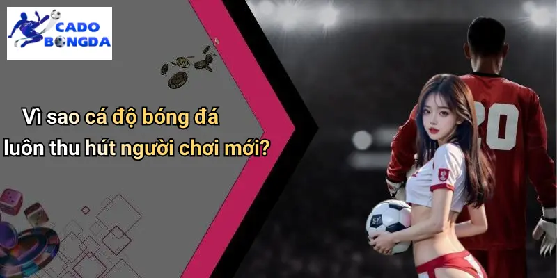 Giới Thiệu