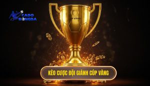 Kèo cược đội giành cúp vàng