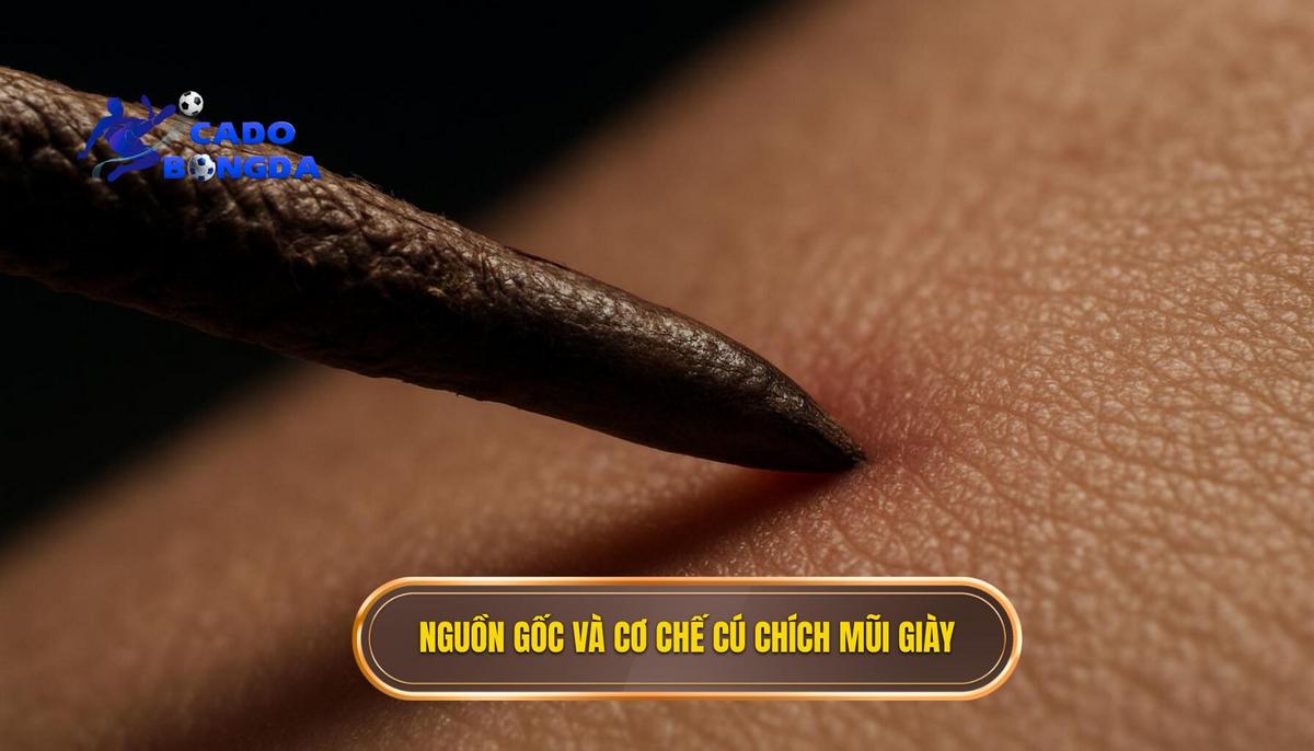 Nguồn Gốc và Cơ Chế Vật Lý của Cú Chích Mũi Giày