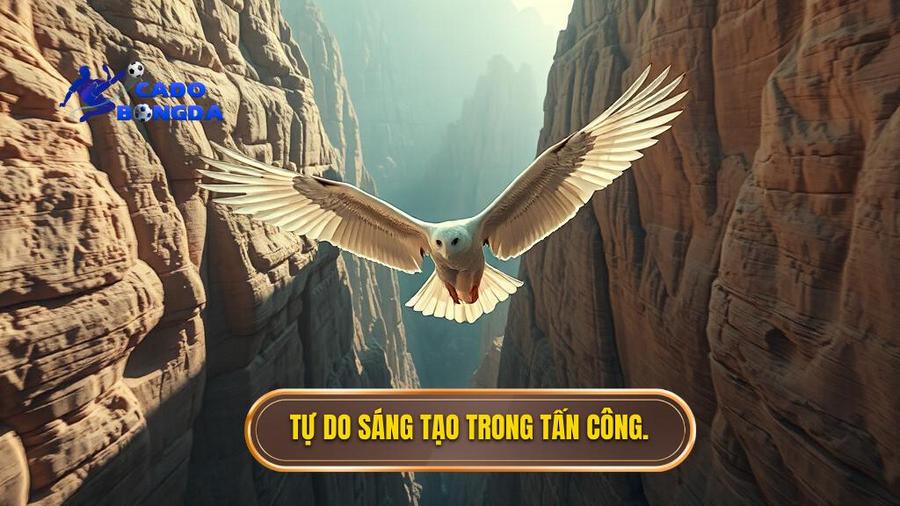 3. Tu do sang tao trong tan cong