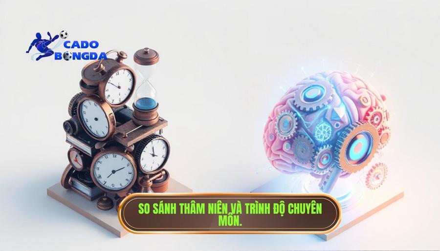 Phân tích đa chiều: Sự khác biệt giữa Thâm niên và Trình độ